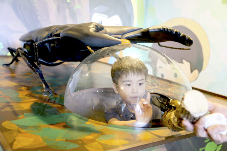 Buzzing with interest: Bugs are popular pets in nature-loving Japan